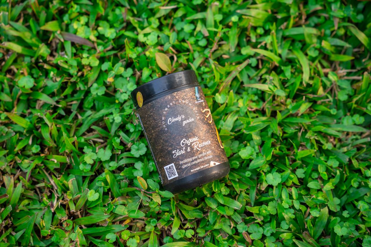 Kết quả Start & Recover trên cây khỏe mạnh